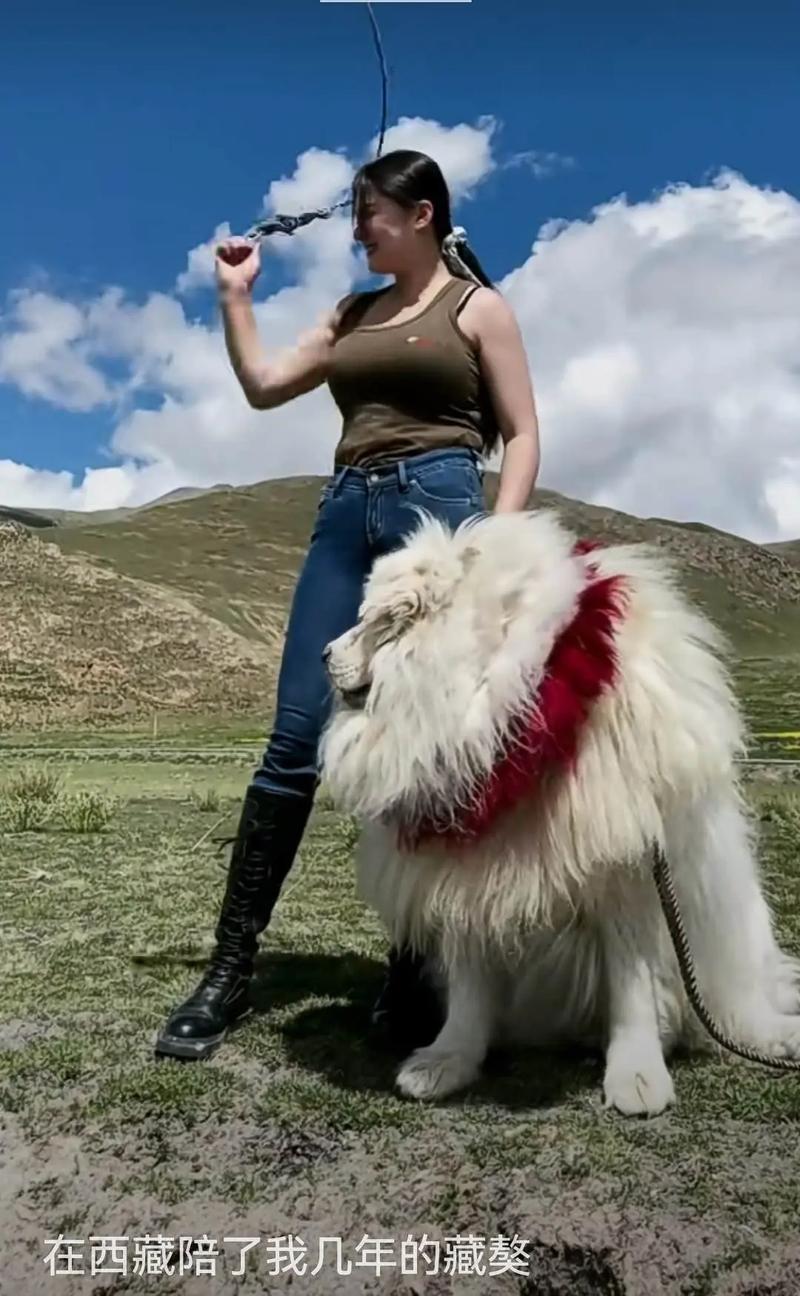 ������ǩ16������ż�������϶����(������ǩ16����_��ż���������Ƿ��������)