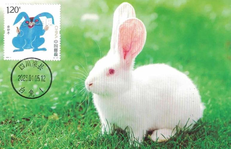 2025年6月生肖龙感情运势 2025年6月生肖龙感情运势