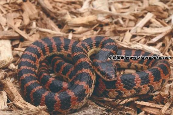 ǩ45ķͶǷӰҵ(ǩ45ĽǩǷ)