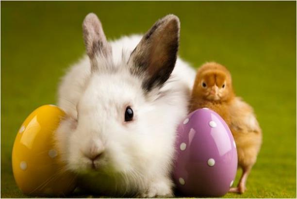 ���ص��������ʺϰڷ��ڼ��е���Ʒ