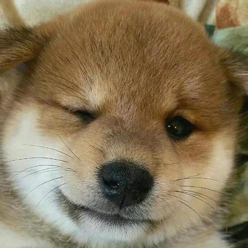 �������ͬ��ͬ���ж����˻�Ӱ����������ˮƽ��(�������ͬ��ͬ���ж������Ƿ�Ӱ����������ˮƽ)