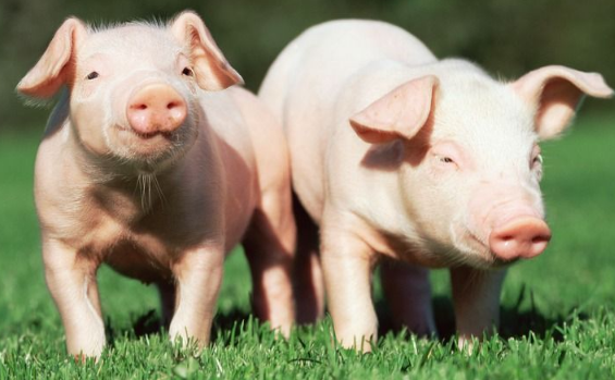 2023�¿��к����ִ�ȫκ�� κ���к�������ô�����