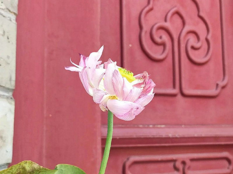 ����־סլ��ˮ