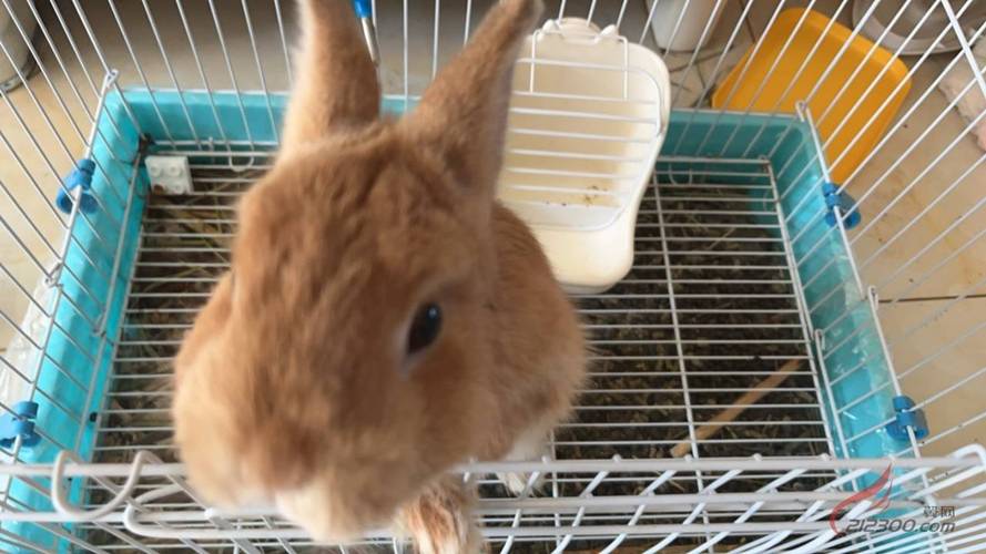 ̫ûҪŰɼͥìǷĻӰФ(̫ûҪŰλͥì)