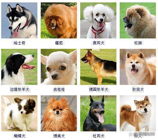 名字23划吉凶查询 起名22画字吉凶分析 名字23划吉凶查询 起名22画字吉凶分析