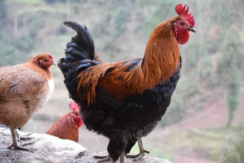 �������޲�ѯ28