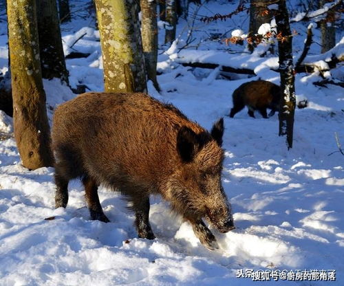 ��Ա�־���������_�־����ڵ��Ϲ�