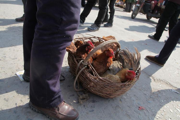 ���Ȱ�װ�ķ�ˮ����