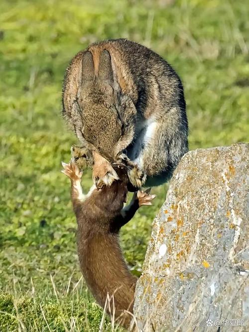 绝望主妇orson最后结局 绝望主妇orson最后结局