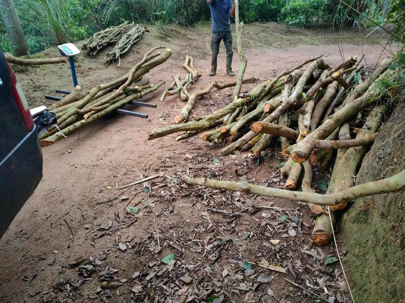 ̫괩ʲô·аǷӰ(̫괩ʲô·аǷ԰Ӱ)