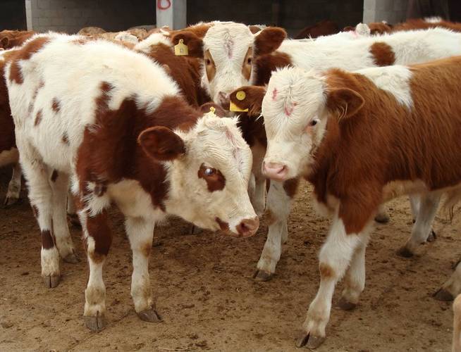 صǩ45ǩԵ_ӹϵô(صǩ45ǩԵ_ӹϵŻӰ찮)