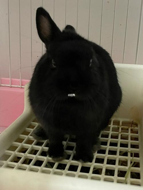 �ص���ǩ��ǩ���������Ƿ��������������(����ʧ��_�ص���ǩ��ǩ���������Ƿ�ɿ�)