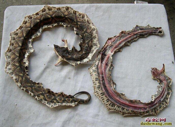 猜八字算命_命理大师_猜八字为啥算不准我的命? 猜八字算命_命理大师_猜八字为啥算不准我的命?