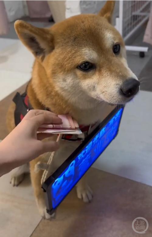 测字然如何看待朋友背叛对运势的影响(测字然如何揭示朋友背叛的潜在风险和影响) 测字然如何看待朋友背叛对运势的影响(测字然如何揭示朋友背叛的潜在风险和影响)