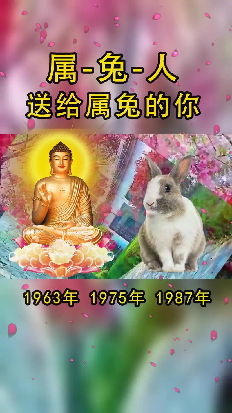 属鼠人的9月财运怎样呢 属鼠人八月财运是什么意思? 属鼠人的9月财运怎样呢 属鼠人八月财运是什么意思?