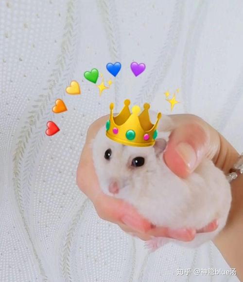 2025�������� ������2025ʱ���