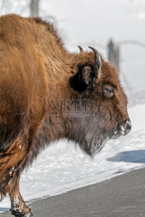 ��������һ������� ��������һ���������