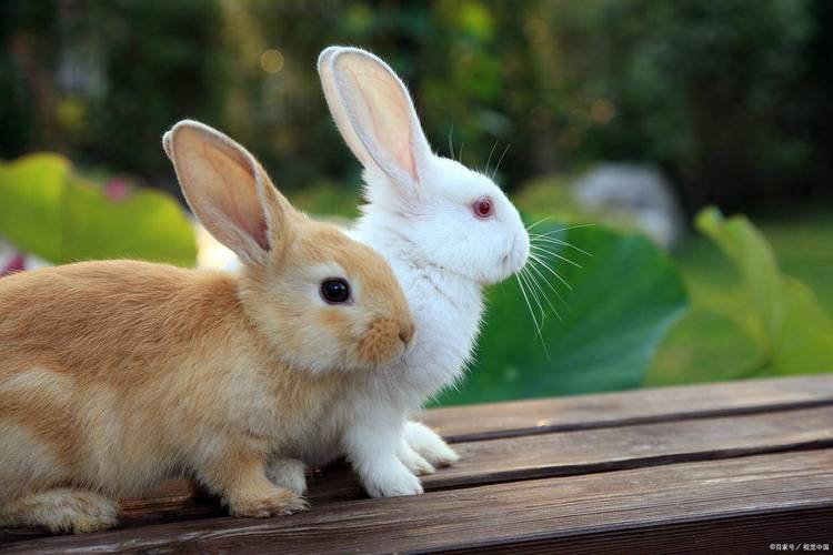 水瓶座8月感情危机 水瓶座八月下旬感情破裂 水瓶座8月感情危机 水瓶座八月下旬感情破裂