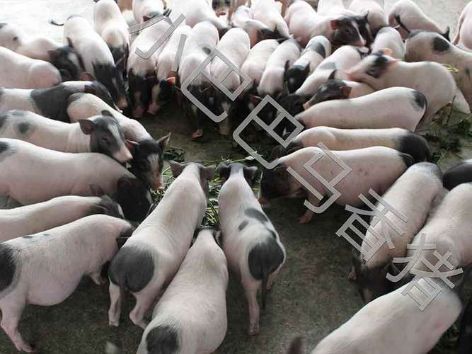 财神灵签7十九_婚后财运是否亨通(财神灵签7十九婚后财运是否堪忧) 财神灵签7十九_婚后财运是否亨通(财神灵签7十九婚后财运是否堪忧)