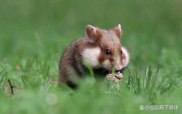 Ѧ֮ǫ������������Ѧ֮ǫ�������Ͼ�������