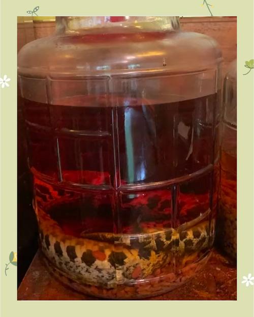 ����������������ʲô