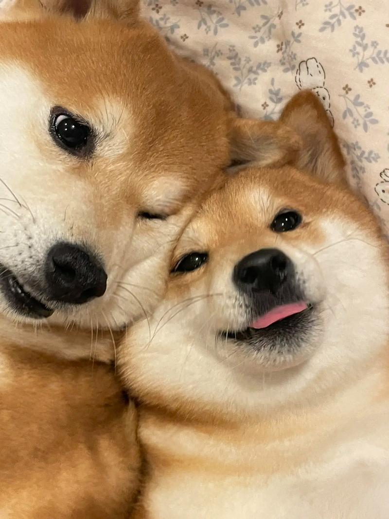 吴昕潘玮柏快乐大本营潘玮柏和吴昕当初在节 吴昕潘玮柏快乐大本营潘玮柏和吴昕当初在节