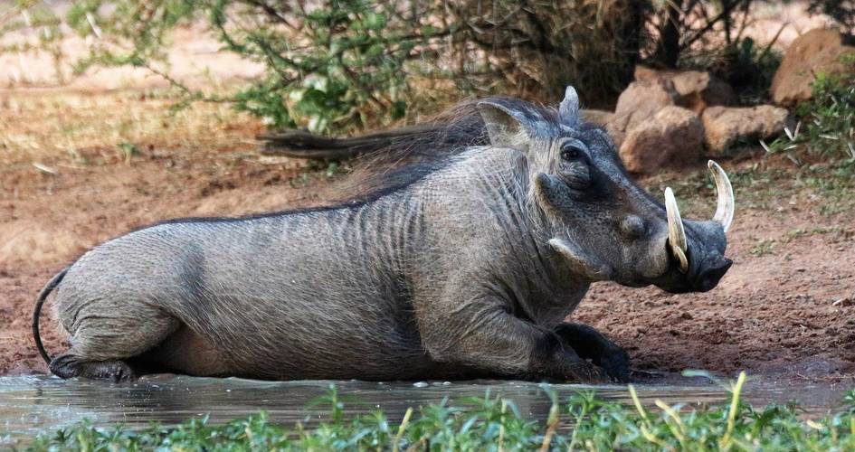 75���Ϫˮ��ȱʲô ��Ϫˮ������ɶ