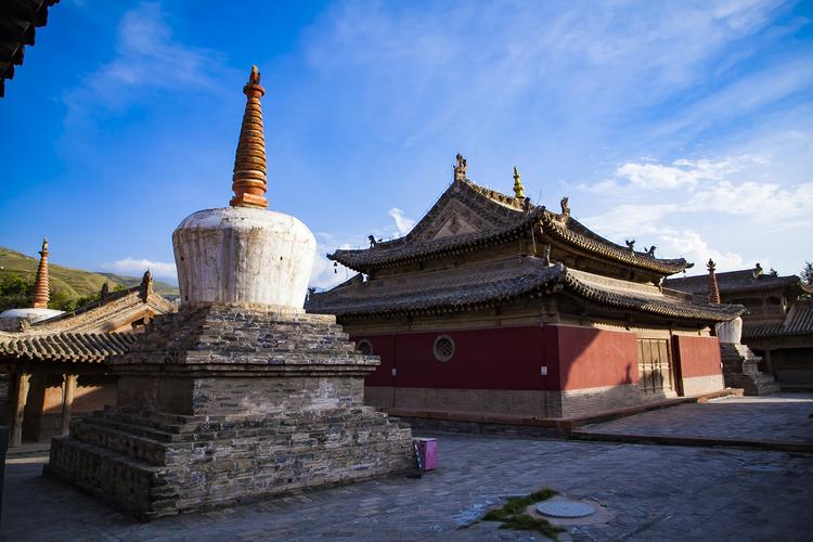 ��ţ����������������