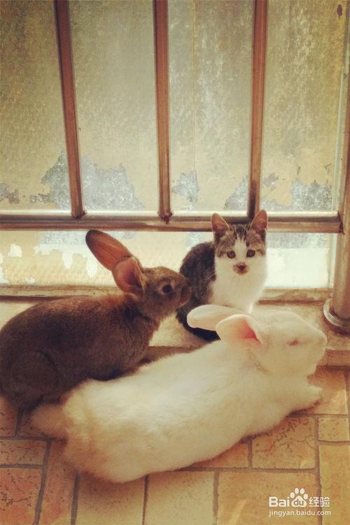 不好的房屋风水化解 不好的房屋风水化解