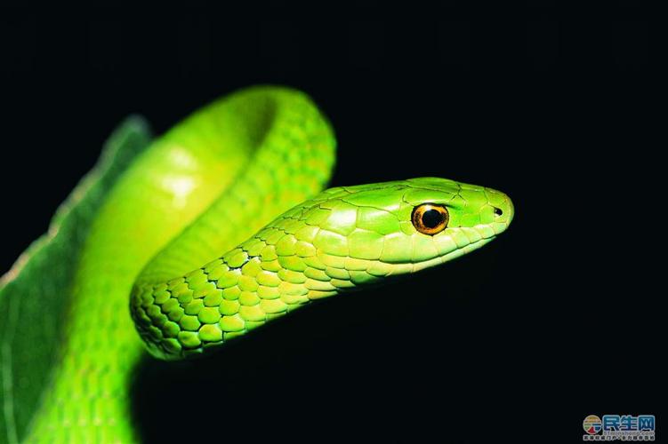 ������ǩ����ʮǩ���޹��Ƿ�ʾ������˳(������ǩ����ʮǩ_���޹�����Ʋ�)