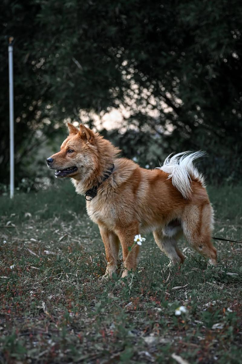 算命给我要生辰八字(什么是生辰八字,怎么算 ) 算命给我要生辰八字(什么是生辰八字,怎么算 )