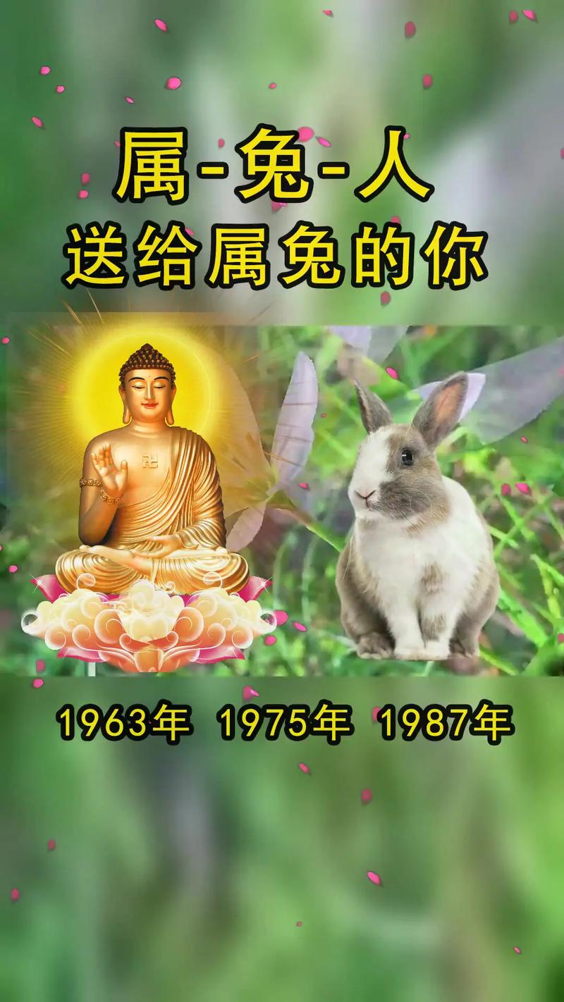 ����������һ�²��˺��� ������2025��ҵ����