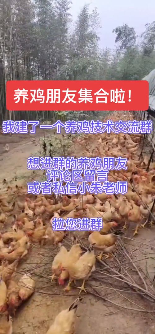 �ﺥ������������ͨ���������������������ҵ����ʺ��Լ��İ���