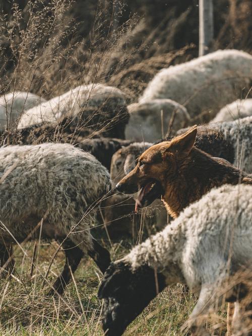 ������ǩ91��ϸ��ǩ���ӹ�ͨ�ϰ���ô��(������ǩ91��ϸ��ǩ_���ӹ�ͨ�ϰ���λ���)