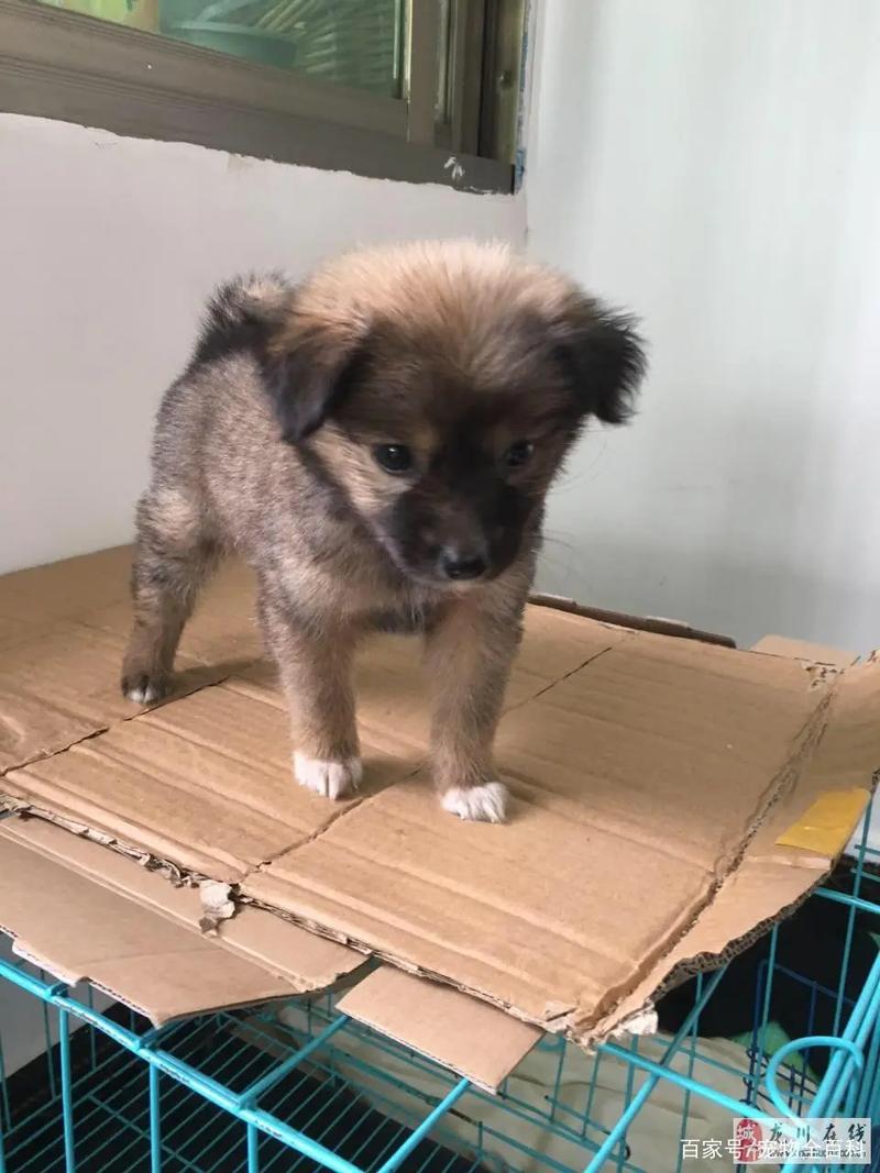 ѻŮμŻʲôԢ_ѻŮμ޸ ʲôԢ