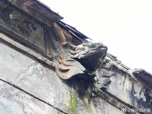 ƴǩұ̶_ְǩǷ(ְ·ϵĻƴǩұ̶˵)