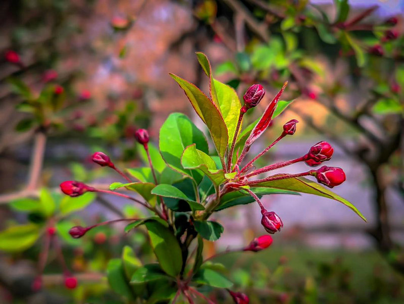 �Ű�����ô�����Ű�����ô�����Ű�������