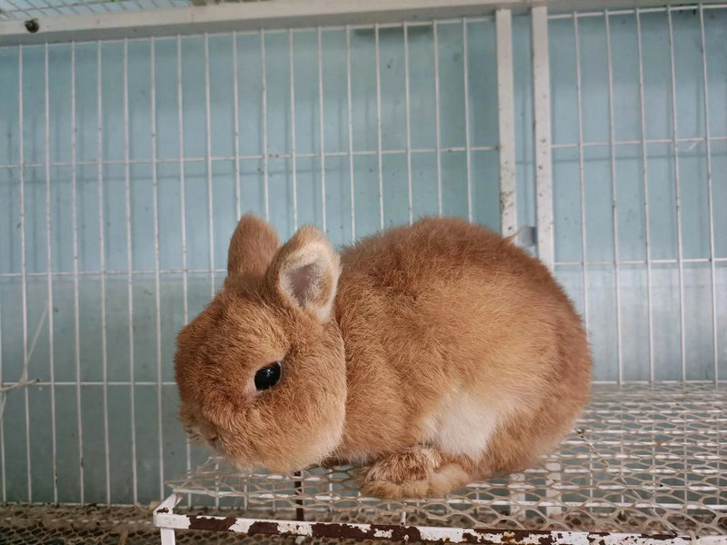 ׳12ФԼױЩϿܻ벻ź