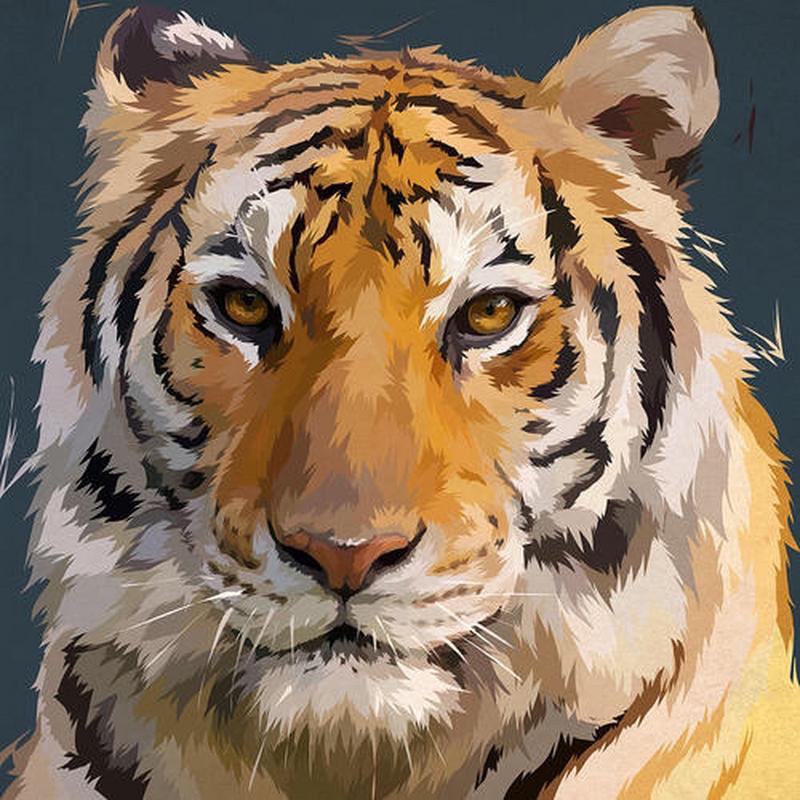 �����˵Ļ��������ߵ�զ�� ����Ů������������ʲô��˼��