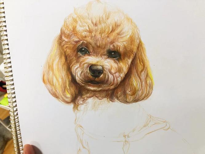 ���������и��Ը��ص���� ���������·ݻ���