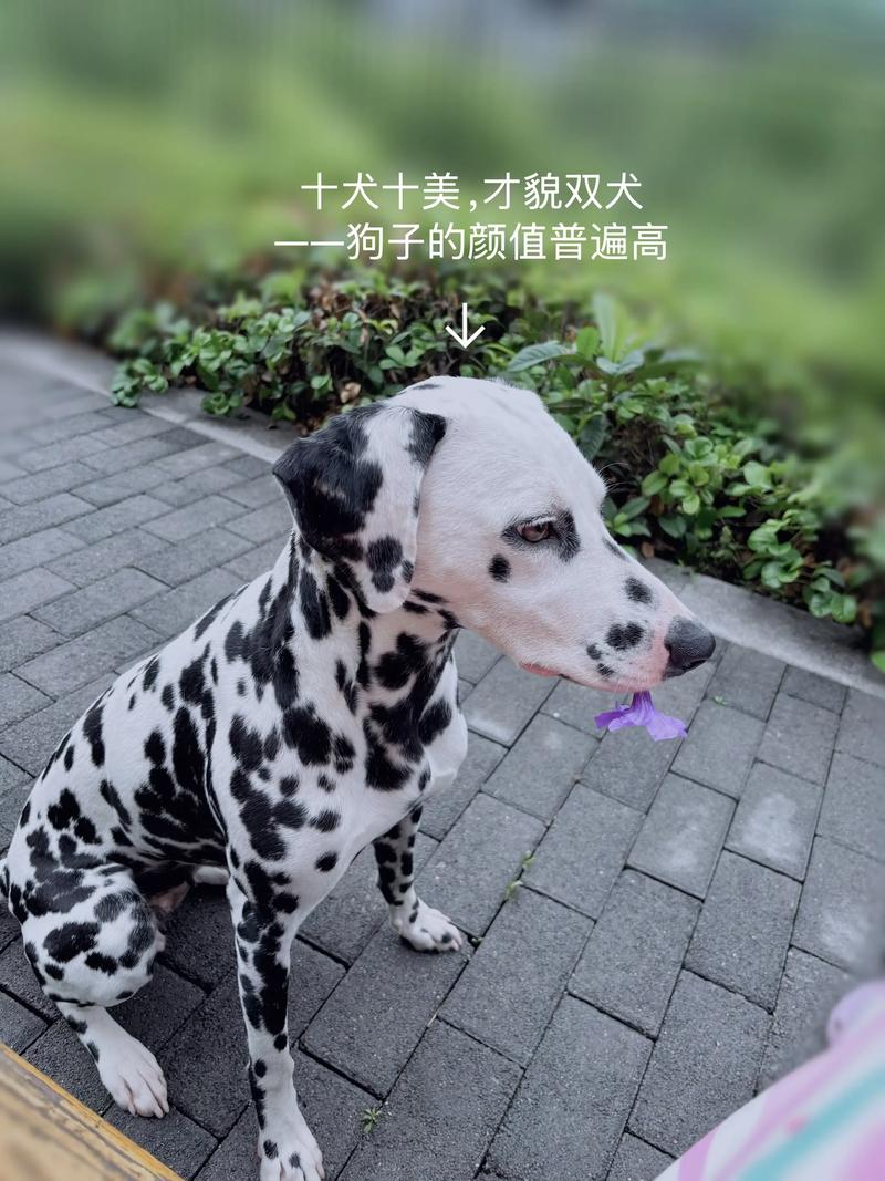 ��λ��ʲôֲ���,����λ��ʲô��������