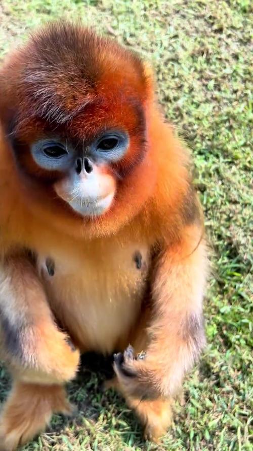 ͥԺʽסլ��ˮ�Ź���