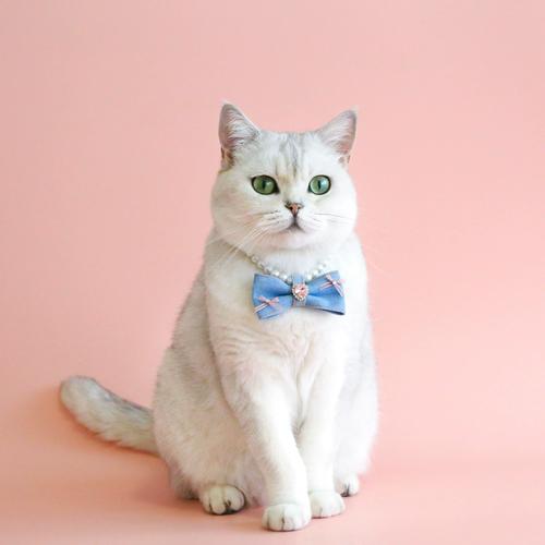 1月4日生日书,1月4日是什么星座 1月4日生日书,1月4日是什么星座