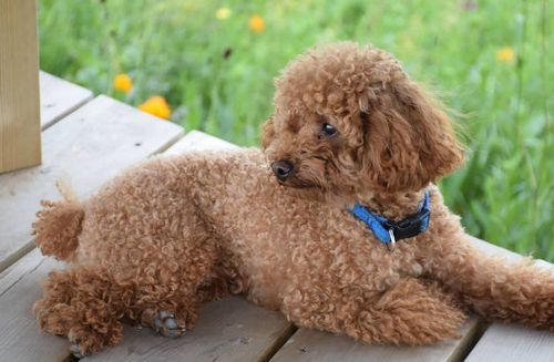 黄宥明个人资料 黄宥明原名叫什么 黄宥明个人资料 黄宥明原名叫什么