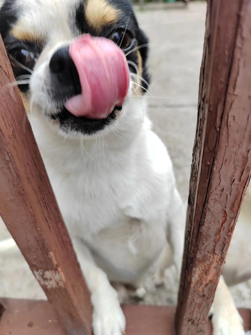 ��������ǩ����Ͷ��Ϊ�����˵���(��������ǩ��Ļ����ԩ����)