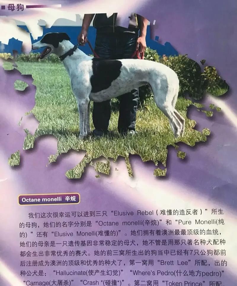 公司起名朝气为何不能忽视季节的影响和时间管理的重要性(如何让公司起名朝气与四季变化相融汇合) 公司起名朝气为何不能忽视季节的影响和时间管理的重要性(如何让公司起名朝气与四季变化相融汇合)