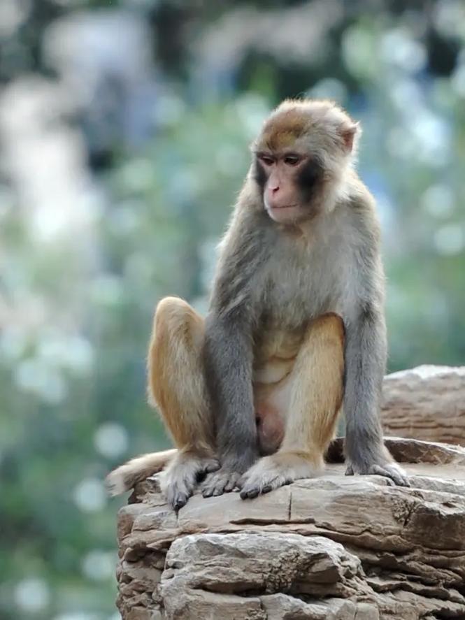 ����Ư��Ů��������2025