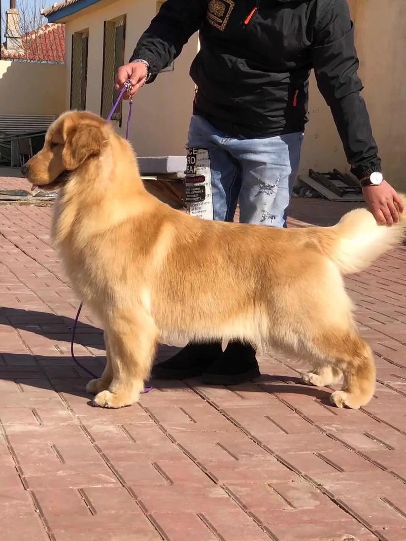 王子文真实身高究竟多少 王子文真实身高究竟多少