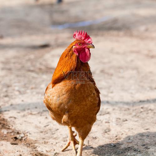 ���ֿ��ܷ�Ӱ����޲��˵�δ������(���ֿ��Ƿ��ܽ�ʾ���޲��˵�δ������)