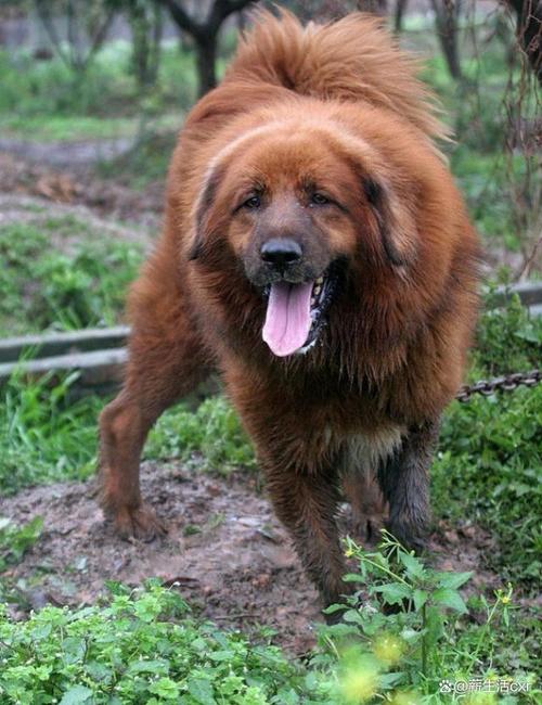 有人特作妖,有人爱撞鬼……十天干的各种特性,你中枪了没?. 有人特作妖,有人爱撞鬼……十天干的各种特性,你中枪了没?.